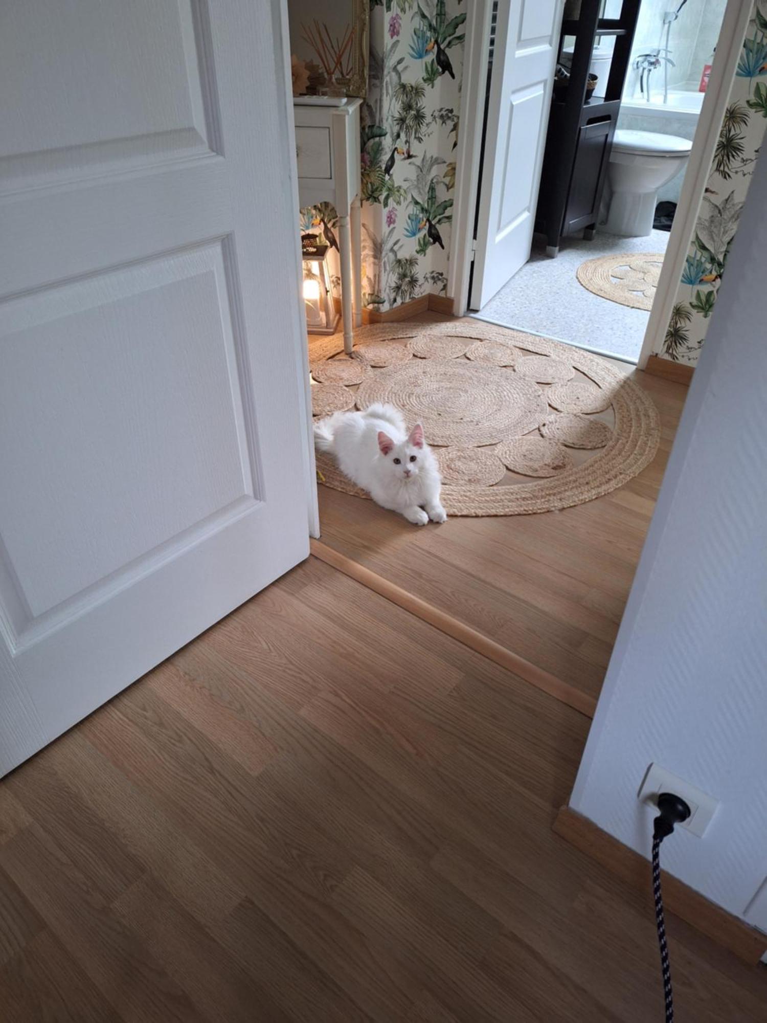 Chambre Climatisee Au Coeur De Brive Avec Televiseur Connecte Wifi Netflix Exteriér fotografie